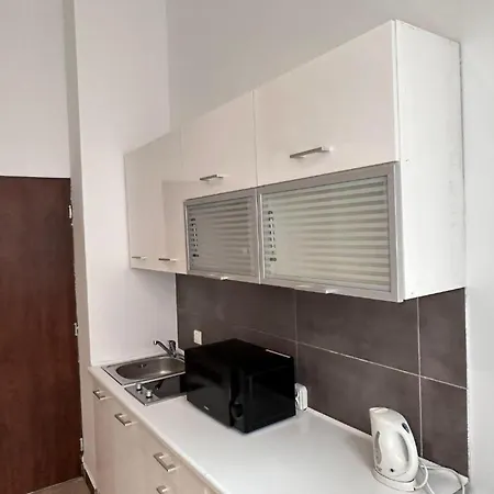 Golebia-genius 아파트 포즈난