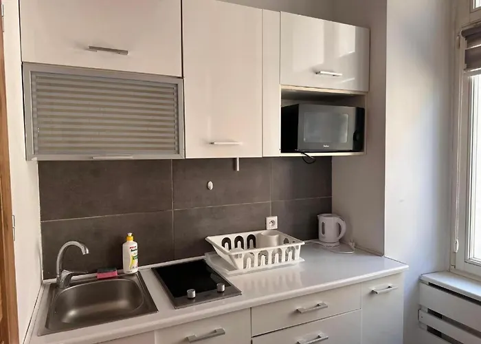 Golebia-genius Apartamento Poznan